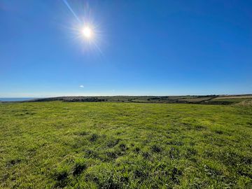 Spacious camping field