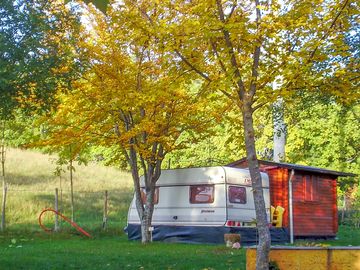 Pitch up under the trees