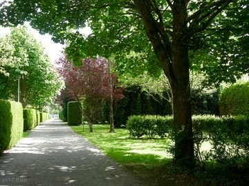 Around the site