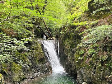 Nearest waterfall to the site
