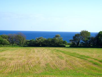 Field with sea views