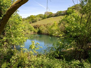 Looking over the neighbours' ponds