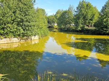 Small fishing lake