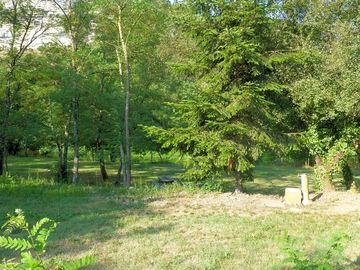 Pitches among the trees