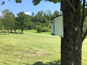 Wildlife boxes