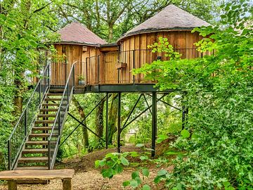 Treehouse exterior with steps to the entrance