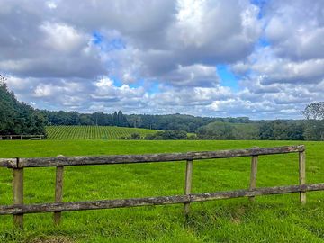 View across the camping meadow