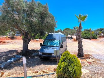 Pantaloni vans 2018 online