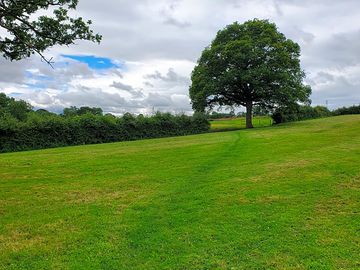 Mowed pitches