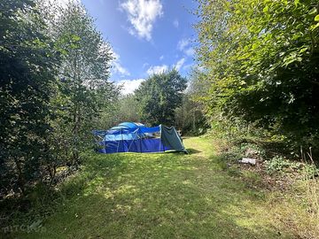 Pitches which nestle in the trees