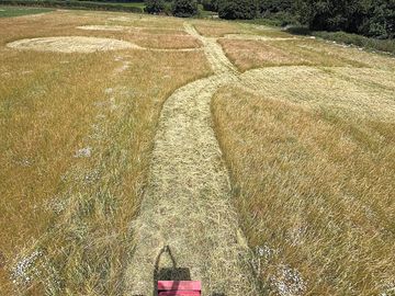 Pitches cut out of the meadow
