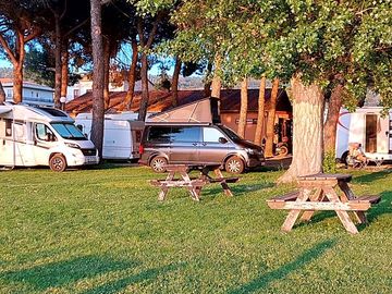 Pitches with picnic benches
