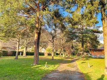 Pitches among the trees