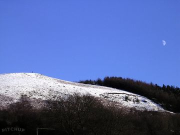 Behind the four-acre wood