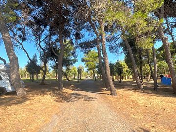 Site