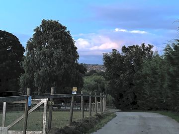 Night time stroll