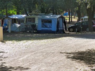 Large pitch under the trees