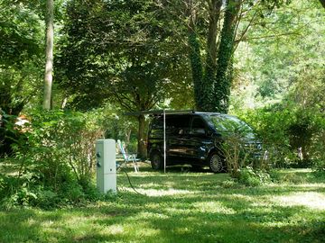 Pitches under the trees