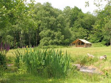 Safari tent set in meadow