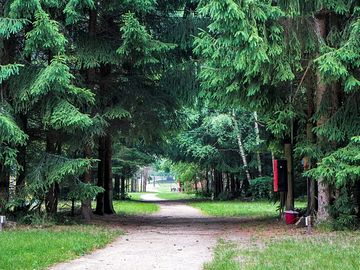 Campsite path