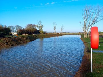 Holly tree park and fish