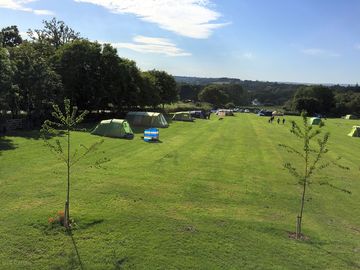 Grass pitch