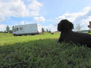 Settling down on site