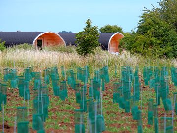 View of glamping pods from our vineyard