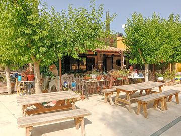 Café-bar