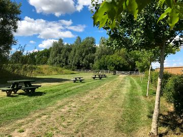 Spacious grass pitches