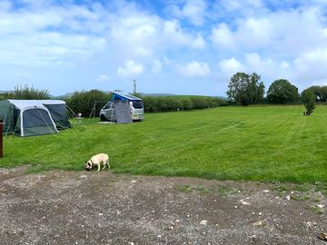 Electric grass pitch; dogs welcome