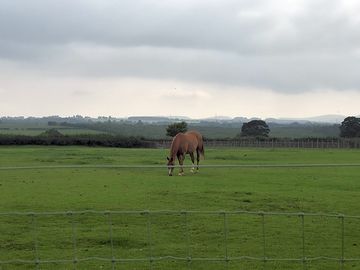 The next door neighbours