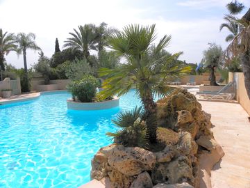 The pool with trees and rocks