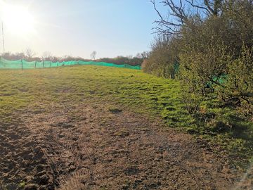 Pitches on a sunny day