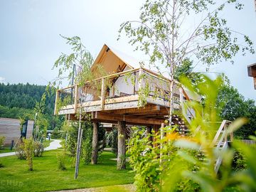 Tree tent