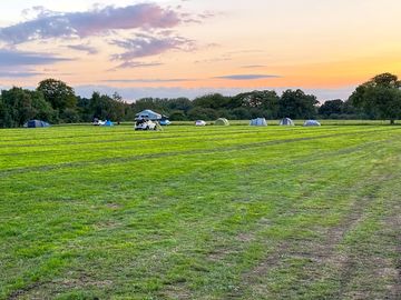 View across the pitches
