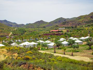A view across the site