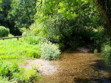 Stream in nearby dog walking field.