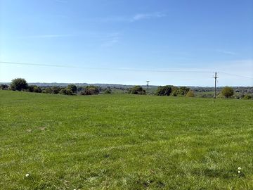 Lovely day today onsite the field ready for a hair cut!