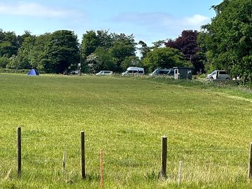 Grassy pitches