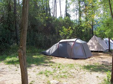 Pitch field surrounded by trees