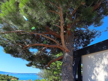 Mobile home with sea views