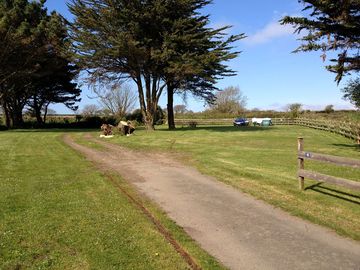 A view of the camping meadow