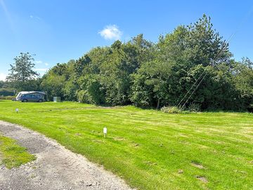 Grassy pitches sheltered by trees