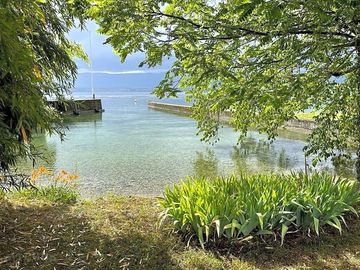 Lac léman views