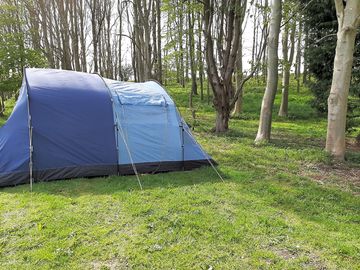 Pitches surrounded by woodlands