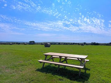 Don’t forget to visit our look out area for the perfect lizard view.