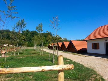 Trees around the site