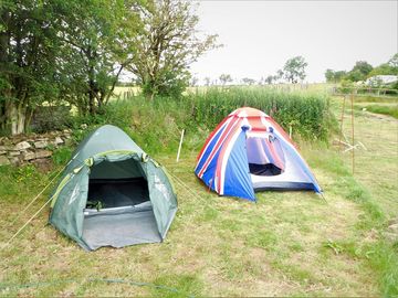 Electric grass tent pitch