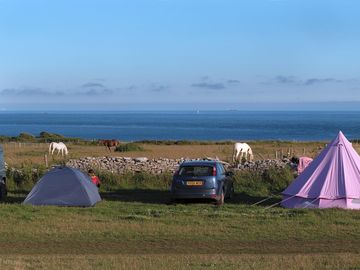 A view from one of the fields